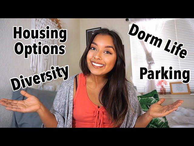 Chico State Q&A (honest answers)