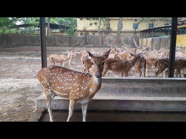 THRISSUR ZOO/Thrissur/Kerala/Vowstay