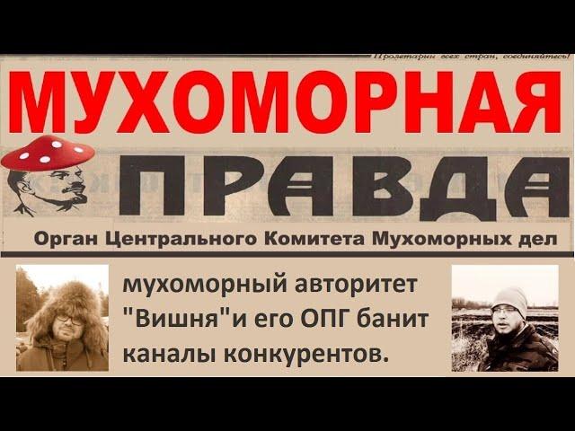 Мухоморная Правда #8