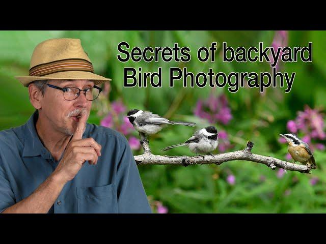 Secrets of Backyard Bird Photography