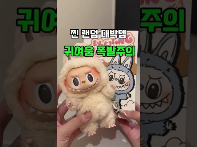 찐 랜덤 대박템?! 첫 Labubu 언박싱!처음 뜯어본 Labubu 블라인드 박스… 이 조합은 진짜 운명 아닐까요?#Labubu#블라인드박스#키링추천#귀여운템#가방참추천#언박싱