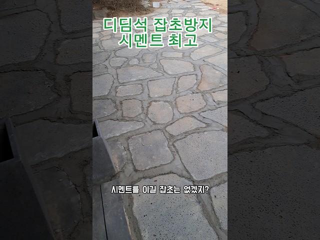 전원주택 마당 디딤석 사이 잡초방지작업 | 시멘트가 최고