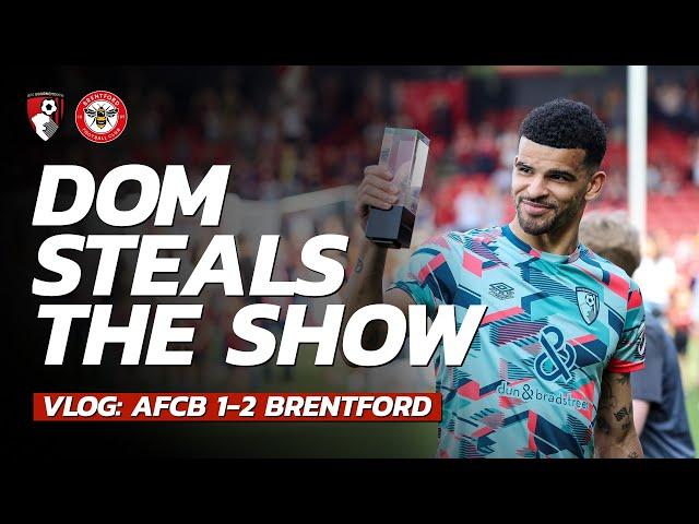 VLOG: "GET SOLANKE ON THE PLANE" ️  - Ivan The Terrible As Dom Scores THREE In Brentford Defeat