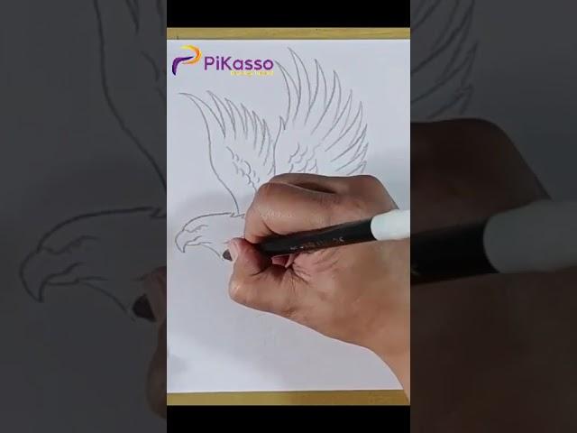 How to Draw a Golden Eagle Easy in Less Than One Minutes