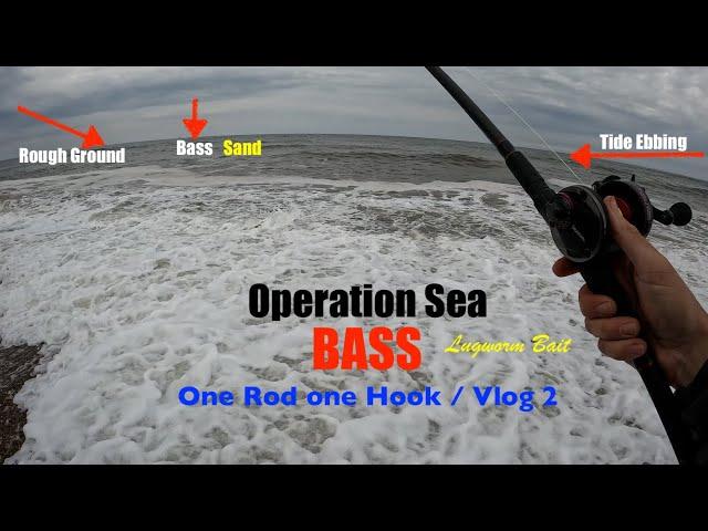 Operation Sea Bass Part 2 / One Rod One Hook / Lugworm Bait