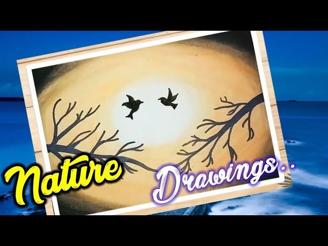 Nature drawings | Leena drawings