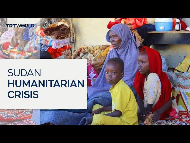 Sudan conflict drives millions into crisis