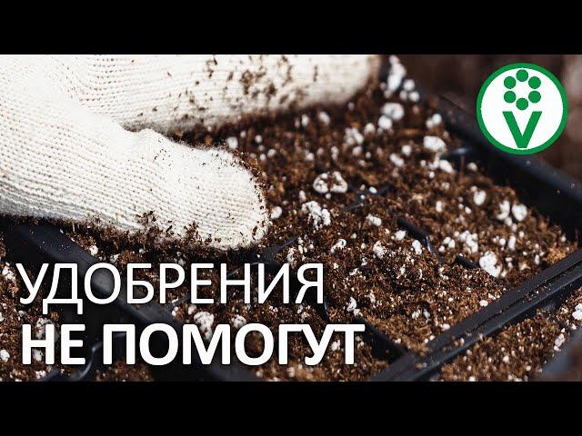 ЭТИ УДОБРЕНИЯ НЕСОВМЕСТИМЫ! Минеральные удобрения и дефицит элементов питания