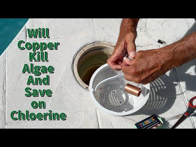 Lets find out if Copper kills algae and saves on Chlorine