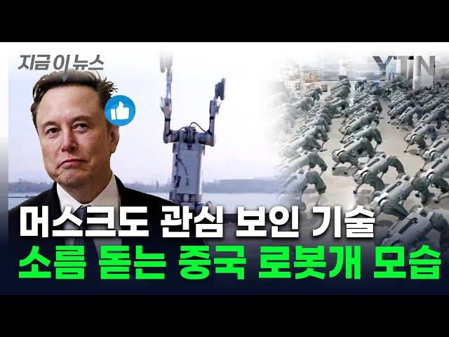 속도에 맷집까지 갖춘 '비밀병기'...中 로봇개, 머스크도 관심 [지금이뉴스] / YTN