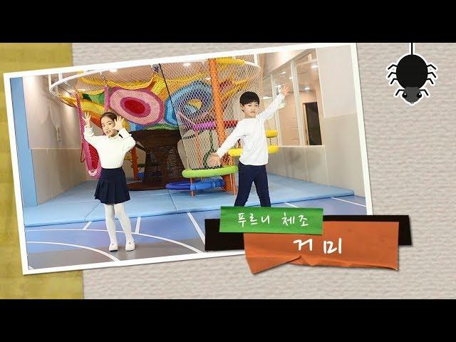 [푸르니체조] 거미_유연성체조