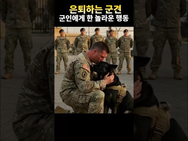 은퇴하는 군견, 마지막 인사에 보인 믿기 힘든 행동