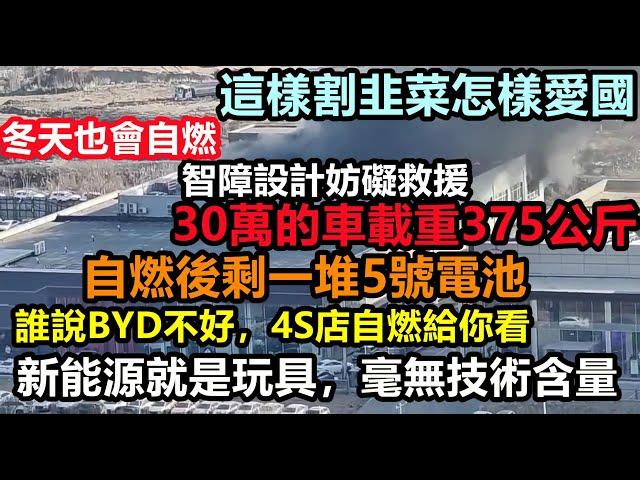 比亞迪智商稅太重了，就是一堆5號電池的玩具，韭菜不買賬！每款車都卡在最低標準！售價30萬的車限載375KG，核心技術僅剩吹牛||車企黑材料|車企不為人知的事件|#大陸造車#未公開的中國#新能源#byd