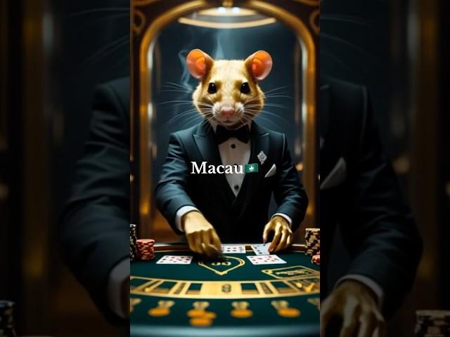 countries mafia animals #countries #animlals #nextgenai #midjourney #tech #ai #explore