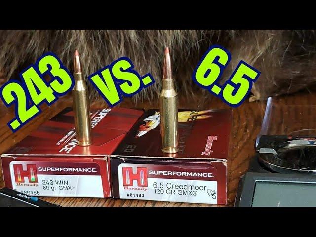 6.5 Creedmoor vs. 243 Winchester