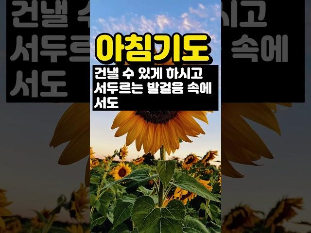 아침기도 / 아침의 기도 / 오늘의 기도 / 은혜의 기도