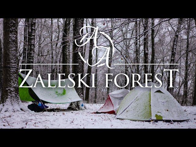 Winter Backpacking and Cozy Campfire Cooking | Zaleski State Forest 4K