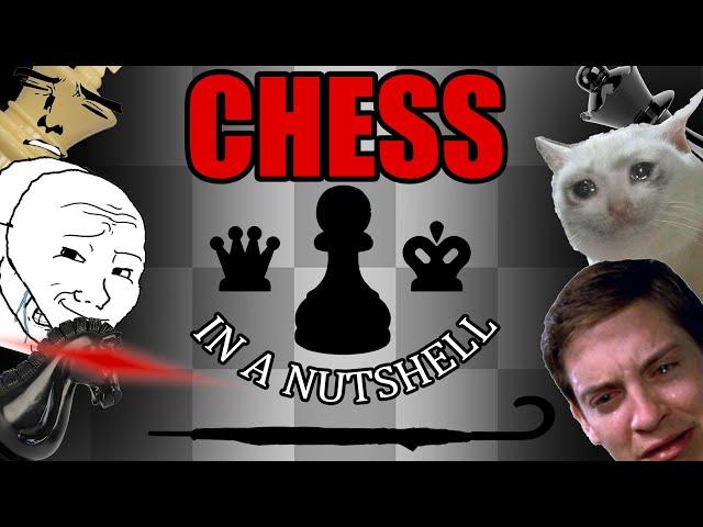 The CHESS Ex(pain)ience