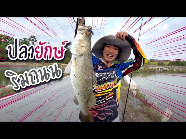 มันกระชากออกไป อย่างรวดเร็ว | เด็กตกปลา