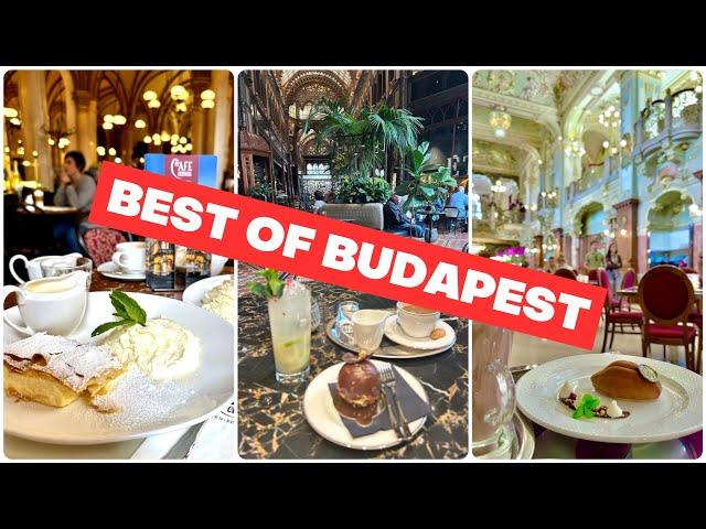 Cruising the Danube in 2024? These 3 Iconic Cafés in Budapest are a MUST visit!