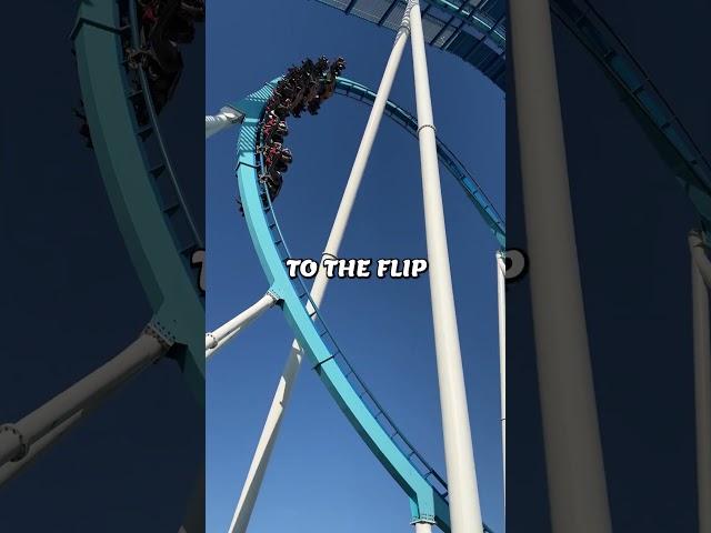 Thrill Unleashed: Breaking Down the First Loop of a Roller Coaster!  | The Science of Suspense