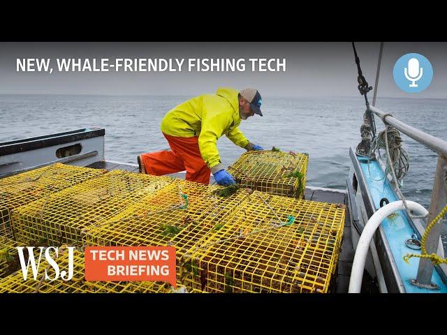 How High-Tech Lobster Traps Could Help Save Whales | WSJ Tech News Briefing