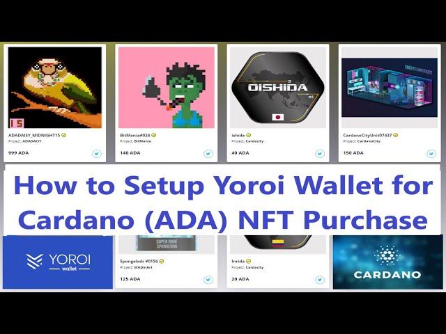 How to Setup Yoroi Web Wallet to Purchase NFT on CNFT IO on Cadano (ADA) NFT