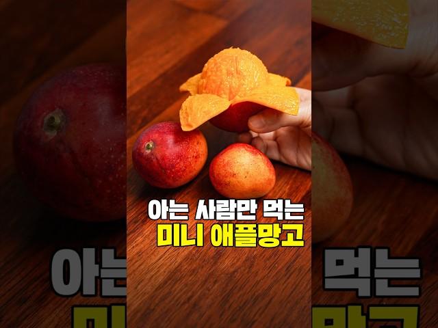 그동안 아는 사람만 먹고 있던 가성비 끝판왕 망고 #미니애플망고