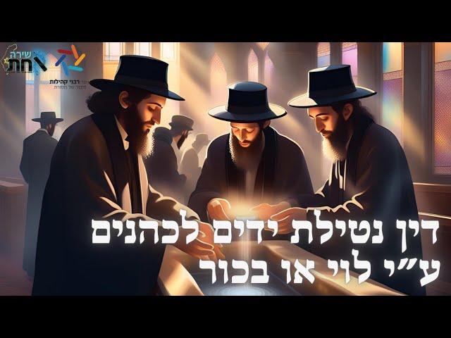 דין נטילת ידים לכהנים ע"י לוי או ע"י בכור ️ מאמר חשוב של הזוהר הקדוש ️ פסיקות רבותינו האחרונים