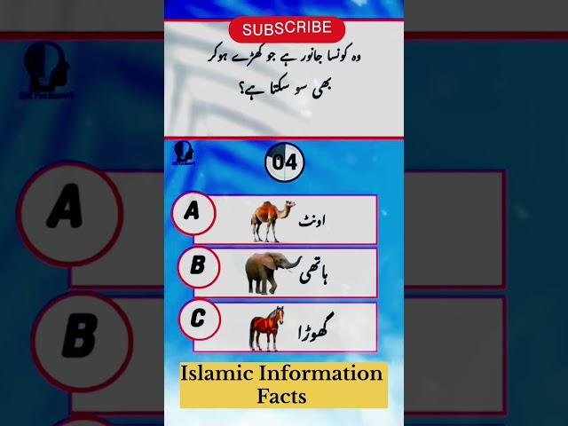 I know islamic quiz #islamicquiz#islamicshrts