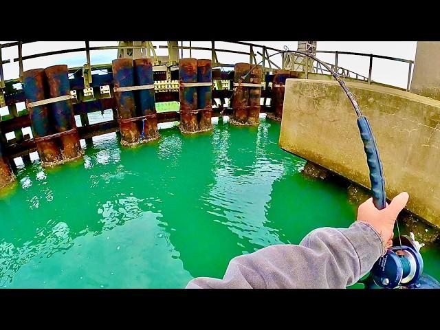 CRABS vs. URCHINS - Dreary Day Sheepshead Fishing Experiment