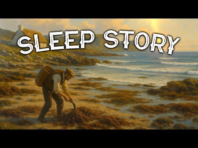 The Irish Seaweed Harvester: A Soothing Bedtime Story