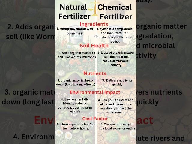 End of Chemical Fertilizer  #shorts #shortsfeed