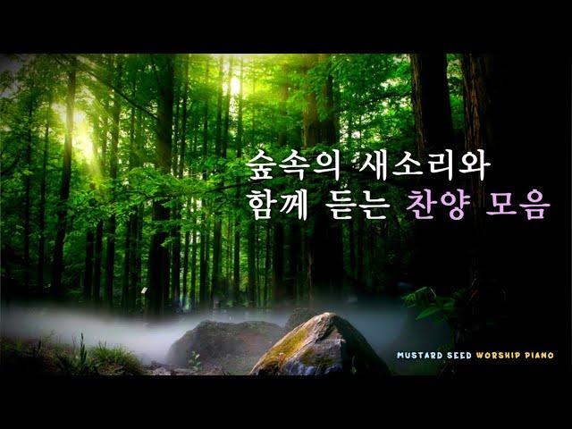 [ 3시간]숲속의 새소리와 함께 듣는 찬양 모음 /Forest Birds Singing Sounds /CCM Piano Compilation /치유 /ASMR / 중간광고