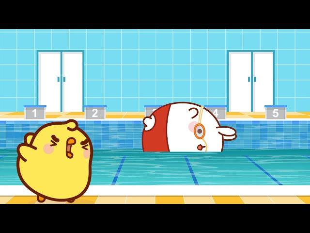 Molang's Swimming Adventure with Piu Piu ‍️