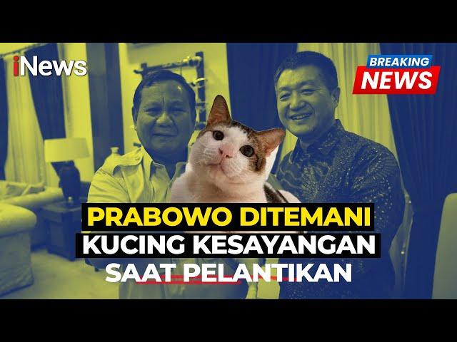 Prabowo Ditemani Kucing Kesayangan Bobby Kertanegara di Istana - Breaking News 20/10