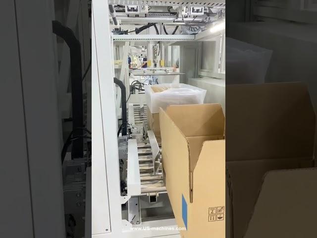 Automatic bag in box machine bag feeding into carton box equipment