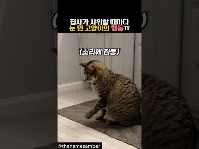 집사가 샤워할 때마다 눈 먼 고양이의 행동 #동물 #고양이 #감동