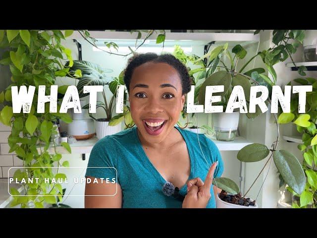 11 PLANTS, 7 MONTHS| What I learned| Plant Haul Updates