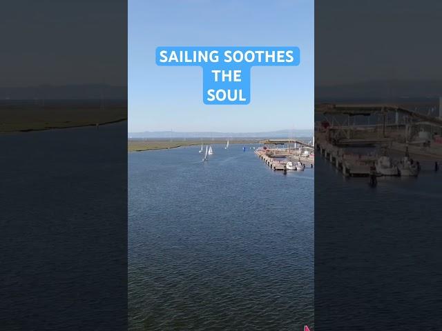 Beautiful day on the Bay!