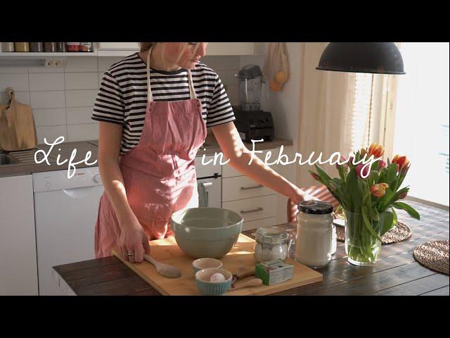 The Life of Wintery February | Baking Traditional Northern European Shrove Buns in 3 Different Ways