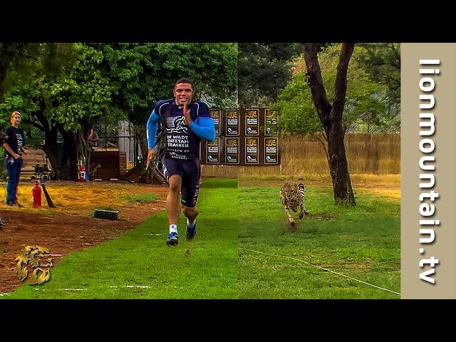  Bryan Habana vs. Cheetah  The Ultimate Race for Survival! 
