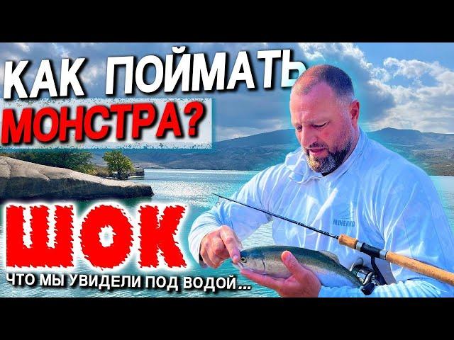 Монстры Чиркейского водохранилища: миф или реальность?! Ловля дикого сазана в горах Дагестана.