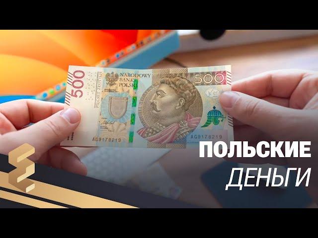 КАК ВЫГЛЯДЯТ ПОЛЬСКИЕ ДЕНЬГИ - ЗЛОТЫ - EUROPEWORK PRO