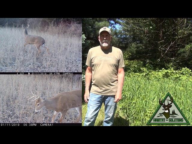 HS360 Mowed deer steering movement trails