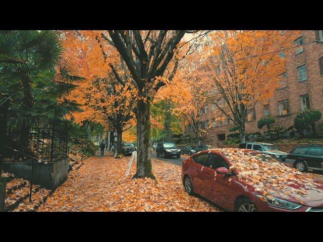 Portland Rain Walk, Peak Autumn Northwest District Binaural Audio 4k