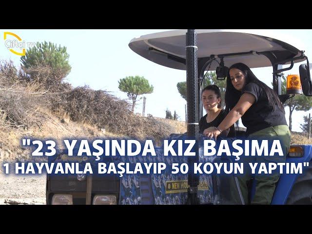 "1 Hayvanla Başlayıp 50 Koyun Yaptım!" - Bir Hayvancılık Hikayesi