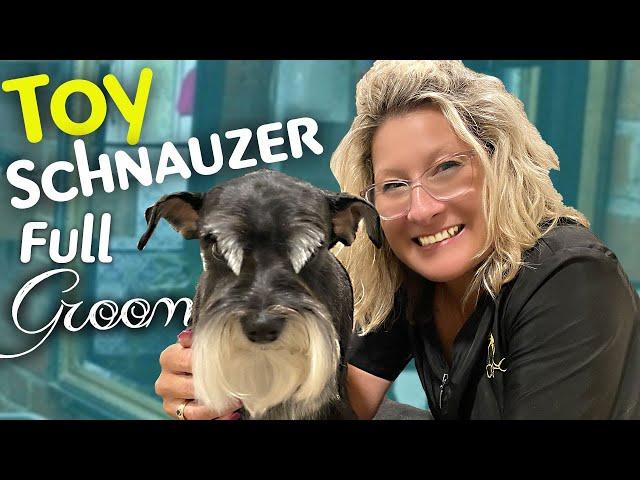 Miniature Schnauzer - Breed Standard TRIM (instructional video)