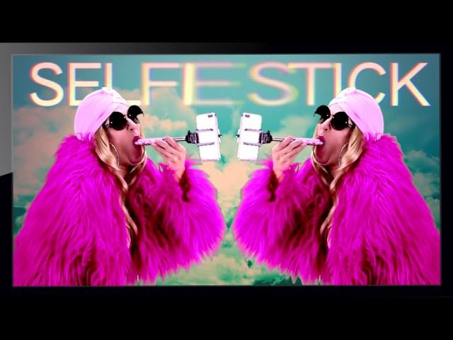 Wendy Ho Selfie Stick (Drake Just Hold On... Parody)