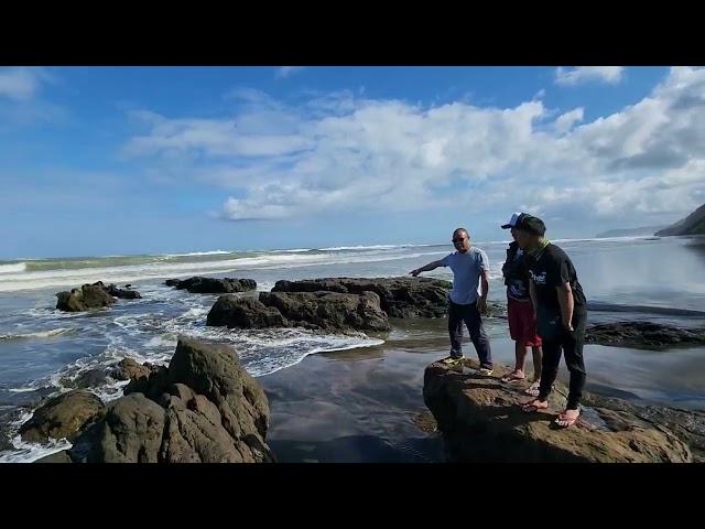 Westcoast  bay  bertongkupit  in new zealand   beautiful place